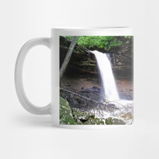 Black Fork Falls Mug